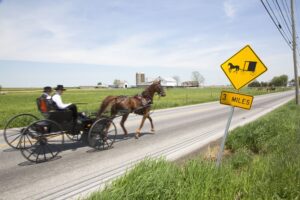 amish